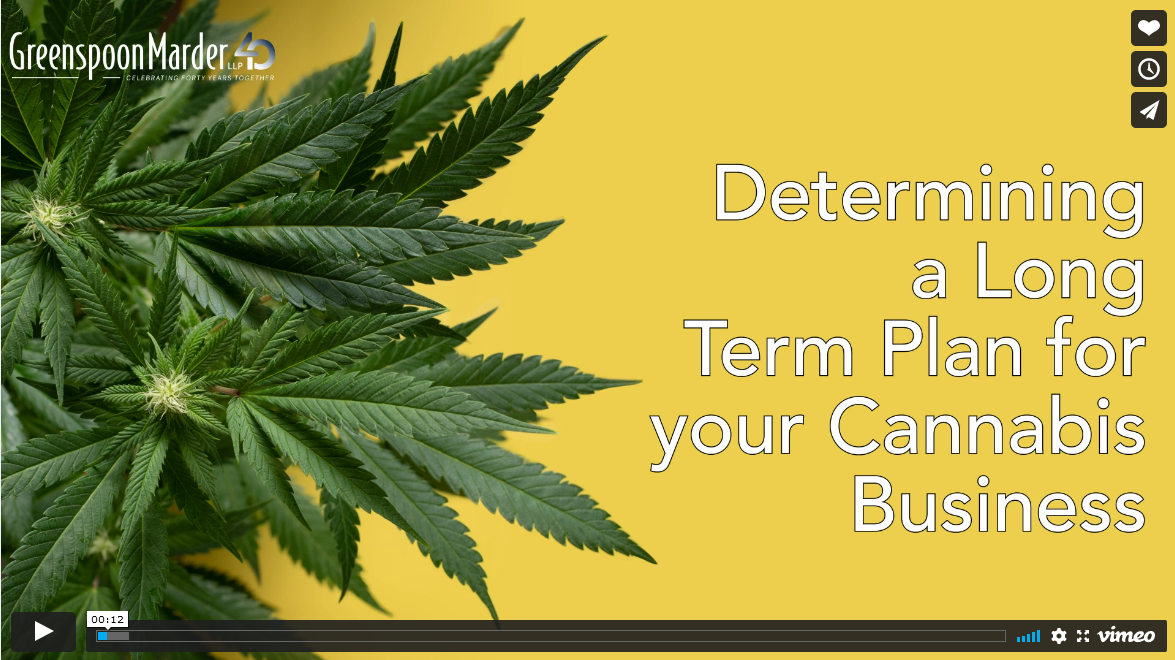 Cannabis Quick Hits: Determining a Long Term Plan for your Cannabis Business